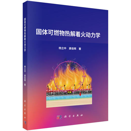 固体可燃物热解着火动力学 商品图0