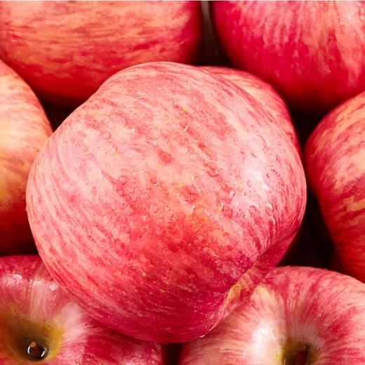 栖霞苹果2.5kg 商品图1