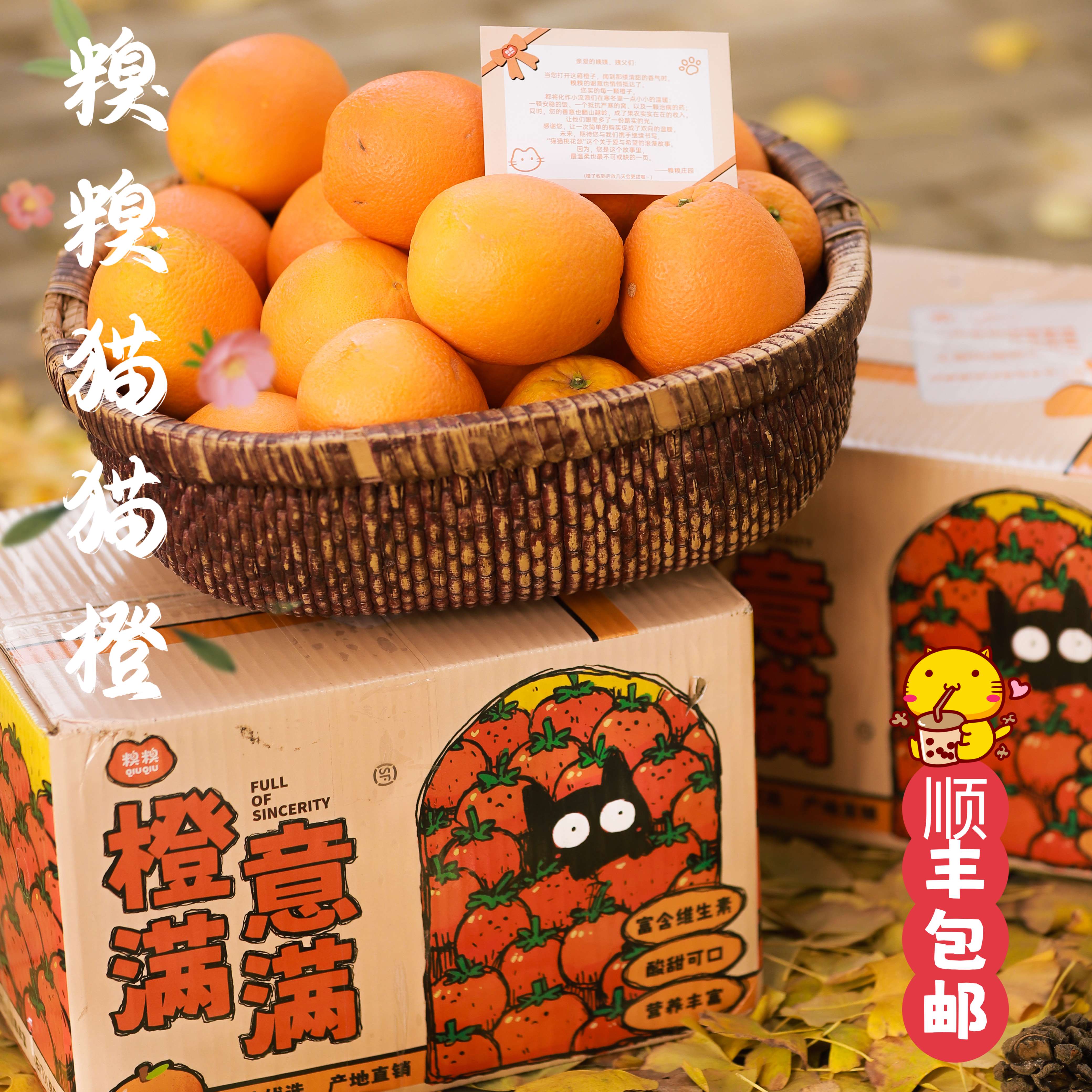 糗糗庄园-猫猫橙顺丰果园直发石门纽荷尔橙9斤