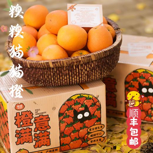 糗糗庄园-猫猫橙顺丰果园直发石门纽荷尔橙9斤 商品图0