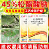 大鹏45%松脂酸钠升级版蚧壳虫专用柑橘果树介壳虫清园剂农用正品 商品缩略图1