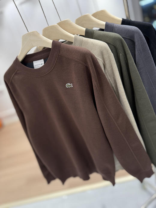 鳄鱼男士针织毛衫加绒卫衣 商品图2