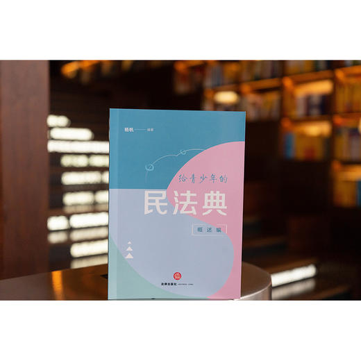 给青少年的民法典（概述编） 杨帆编著 法律出版社 商品图0