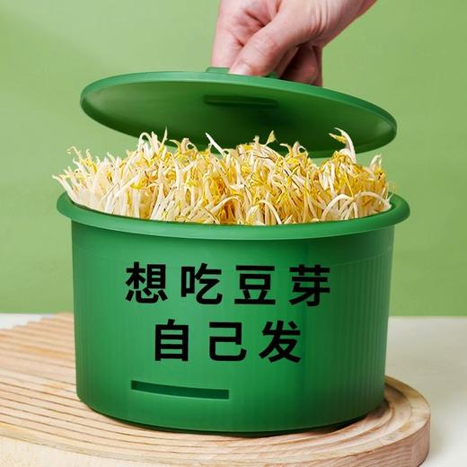 （自己发豆芽更健康 3-5天可收）豆芽罐发芽神器 生绿豆芽黄豆芽育苗盆 有水就活百分成功 商品图1