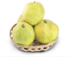 【西湖之声专享】新疆阿克苏玉露香梨