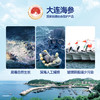 [獐子岛]畅享 淡干海参(100g-500g任选) 商品缩略图5