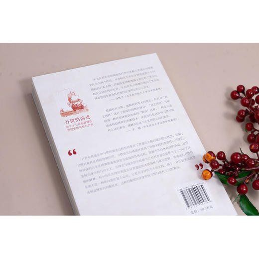 习惯的演进：基于十七世纪普通法思想史的考察与分析 王永祥著 法律出版社 商品图3