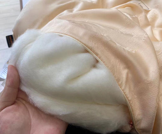 LSN23258大豆抗菌冬被 商品图5