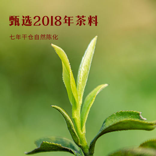 八马茶业｜紫金白兰·福鼎白茶·7年白牡丹180g 商品图3