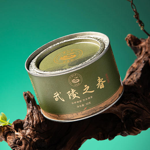 正山堂骏眉 巴东红·武陵之春贡茶 中国湖北特级红茶罐装茶叶50g/150g 商品图6