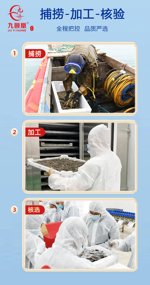 【分销】九颐凰即食海参（Q弹款），选用7年以上辽刺参，个头大、品相好、营养更丰富 商品图5