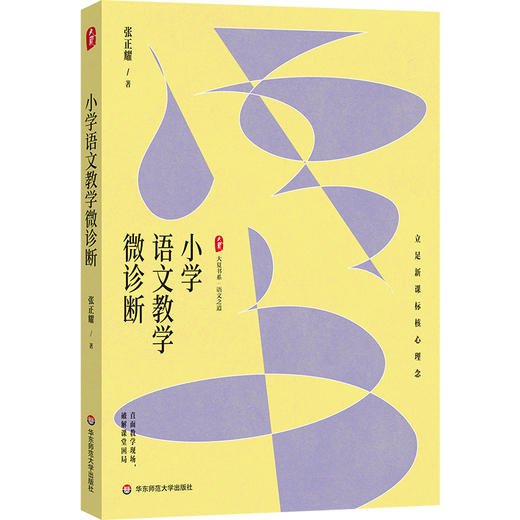 小学语文教学微诊断 大夏书系 语文之道 张正耀 立足新课标核心理念 商品图0
