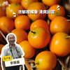 生态金桔（申通快递） | 合作生产*Eco-Kimquat | Partner Production 商品缩略图0