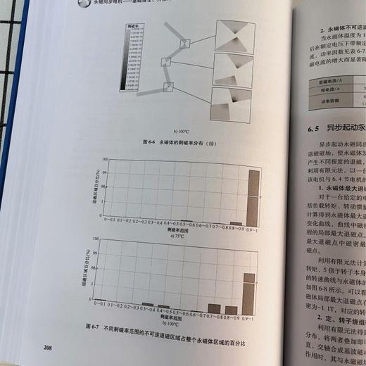 永磁同步电机——基础理论、共性问题与电磁设计   第2版 商品图1