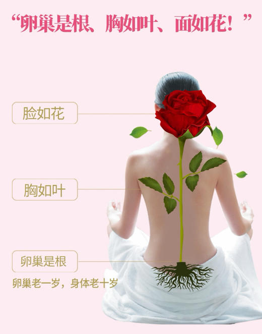 广济堂鹿胶粉 自有鹿场 传统古法工艺  药企品质  活性更高 更易吸收 女生滋养佳品 商品图2