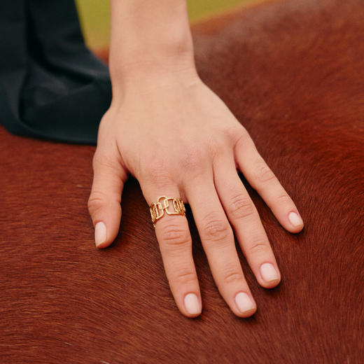 Ancient Rome古罗马时期 | 罗马金/银色弧光戒指小号 商品图3