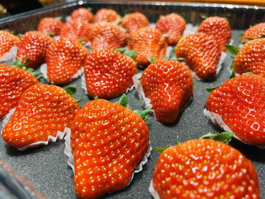 【精品水果】醉西子｜自然熟丹东九九草莓 精选自然熟头茬果 商品图1