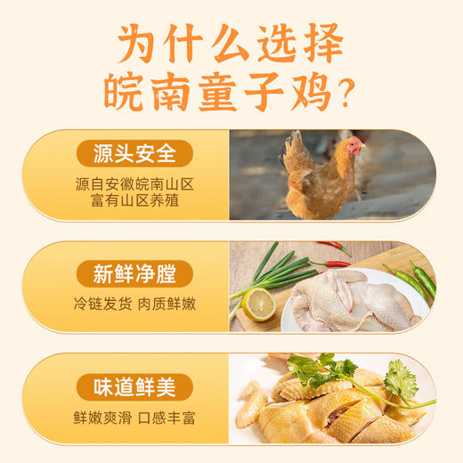 正宗土鸡 现杀现发 | 雀淘皖南童子鸡 鸡肉食材 肉质嫩滑 适合炖汤/红烧/白切等多种做法 650g/只*3 商品图2