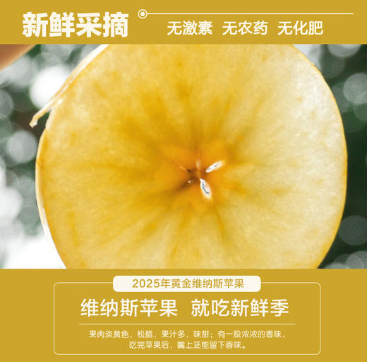 ² 溯源自然熟苹果3.5斤起【很丑但很甜】山西地理标志冰糖心红富士/Baby果维纳斯 不套袋 HM02-CRMM-QQNC 商品图1