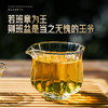 11月30日中午12点【班盆老寨茶王地】2025年春茶最接近茶王树的口感距离茶王直径不过10米，357克/饼 商品缩略图3
