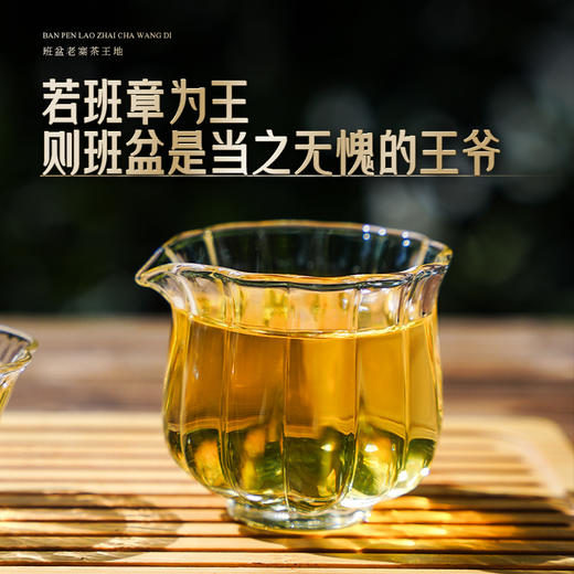 11月30日中午12点【班盆老寨茶王地】2025年春茶最接近茶王树的口感距离茶王直径不过10米，357克/饼 商品图3