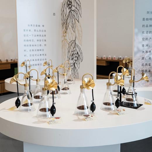 12月27日 天河·小小咖啡师亲子半日活动|丨咖啡主题展馆探索，咖啡渣环保小课堂DIY香包，体验手冲咖啡和雕花，玩转香气与黑科技！还有精美伴手礼带回家！ 商品图2