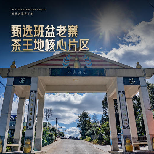 11月30日中午12点【班盆老寨茶王地】2025年春茶最接近茶王树的口感距离茶王直径不过10米，357克/饼 商品图2