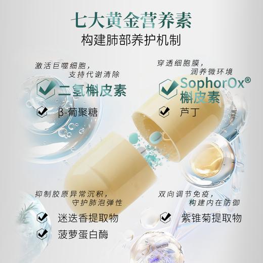 【不参与双12满赠】【新品】Mama Mujer 7合1超分子膜透二氢槲皮素 SophorOx®槲皮素 K杀病毒 肺J节 肺A预防 呼吸畅通 排肺垃圾 肺部净化  60粒/瓶 保税仓发货 MMMJ 商品图3