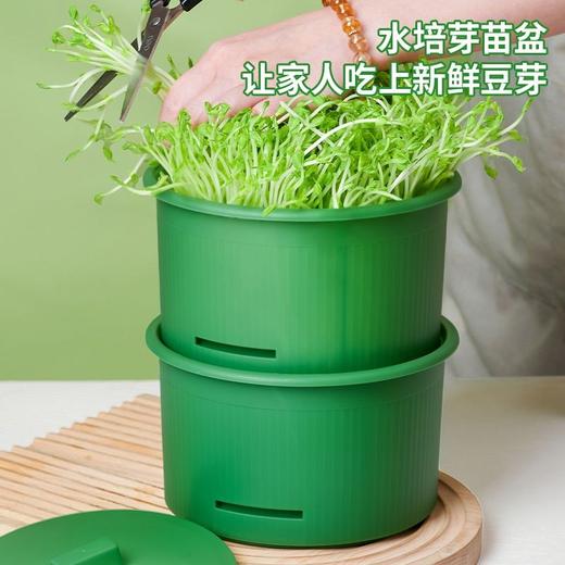 （自己发豆芽更健康 3-5天可收）豆芽罐发芽神器 生绿豆芽黄豆芽育苗盆 有水就活百分成功 商品图2