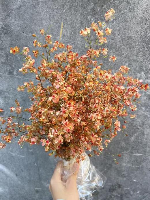 精品鲜花梦香兰鲜切花1扎 商品图6