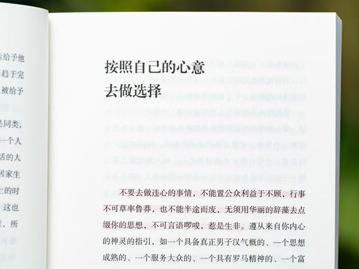 人生醒世五部曲”（5册）|柏拉图、奥勒留、叔本华、尼采、罗素，一次饱读五位世界公认、人类智慧巅峰的醒世巨作，带你破除生活迷障，收获通达人生 商品图4