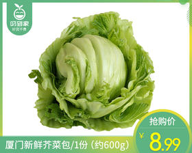 厦门新鲜芥菜包/1份（约600g）
