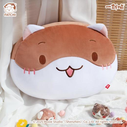 一群喵-麻花抱枕 商品图0