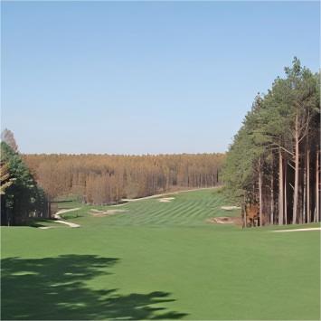 吉林长春·净月潭森林高尔夫俱乐部 Jilin Jingyuetan Forest Golf Club  | 长春高尔夫球场 | 吉林高尔夫球场 | 中国 商品图4