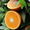 【龙记粉丝福利】正宗江西赣南脐橙果园直发新鲜现摘鲜甜无籽 商品缩略图6