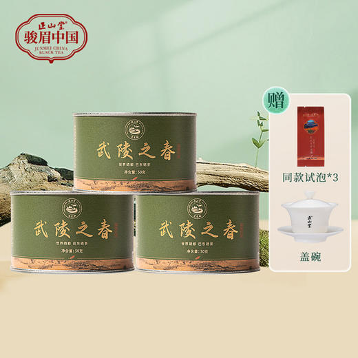 正山堂骏眉 巴东红·武陵之春贡茶 中国湖北特级红茶罐装茶叶50g/150g 商品图0