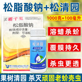 45%松脂酸钠纳松清园大鹏松树脂整袋松精油正牌清园剂杀虫剂正品