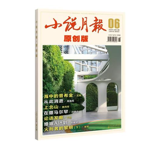 《小说月报·原创版》| 6-25 | 月刊 | 2026年全年订阅（不可退订） 商品图2