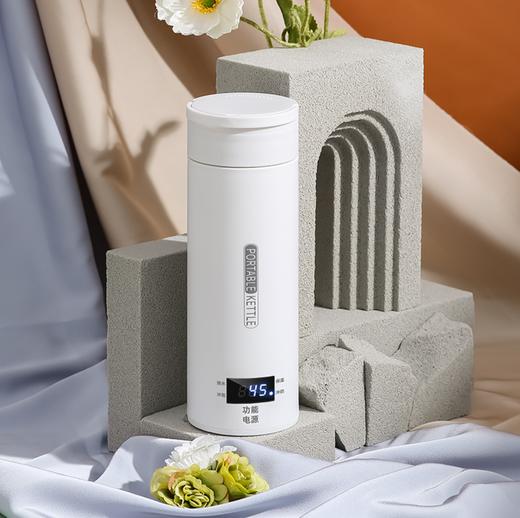 【智能！加热便携式烧水壶】 保温一体恒温杯 办公室不锈钢保温杯 家用电热水壶 商品图0