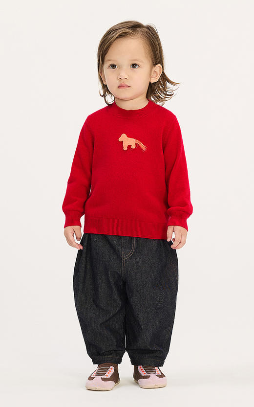 jnby  25年冬款  长袖套头羊绒衫  YPA310600 商品图0