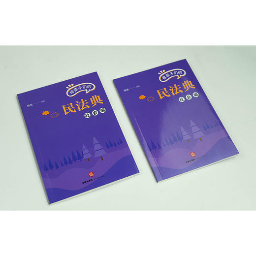 给孩子们的民法典（社会编）杨帆编著 法律出版社 商品图3