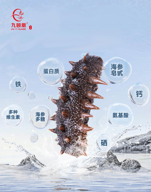 【分销】九颐凰即食海参（Q弹款），选用7年以上辽刺参，个头大、品相好、营养更丰富 商品图4