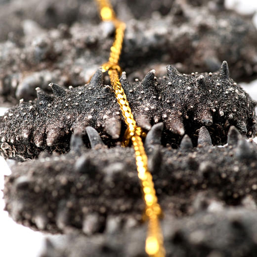 [獐子岛]畅享 淡干海参(100g-500g任选) 商品图2