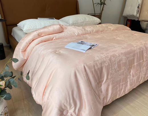 LSN23258大豆抗菌冬被 商品图6
