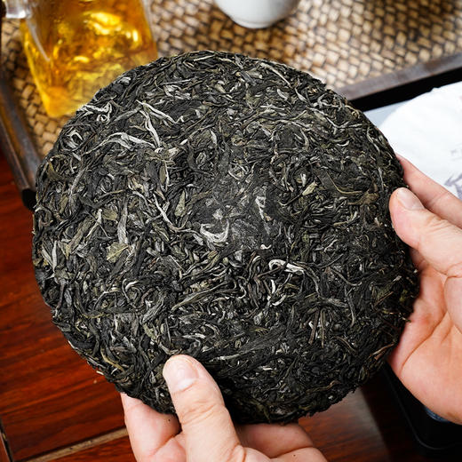 11月30日中午12点【班盆老寨茶王地】2025年春茶最接近茶王树的口感距离茶王直径不过10米，357克/饼 商品图4