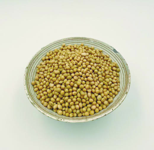 生态黄豆 八年酵素六不用种植【京东快递送货上门】 商品图2