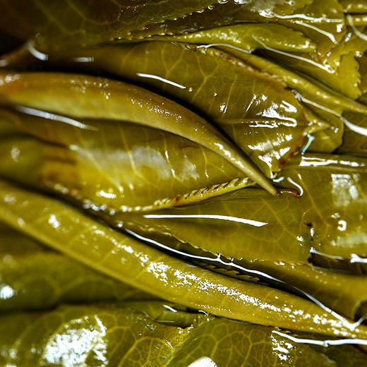 11月30日中午12点【班盆老寨茶王地】2025年春茶最接近茶王树的口感距离茶王直径不过10米，357克/饼 商品图6