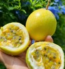 百香果2.5kg 商品缩略图3