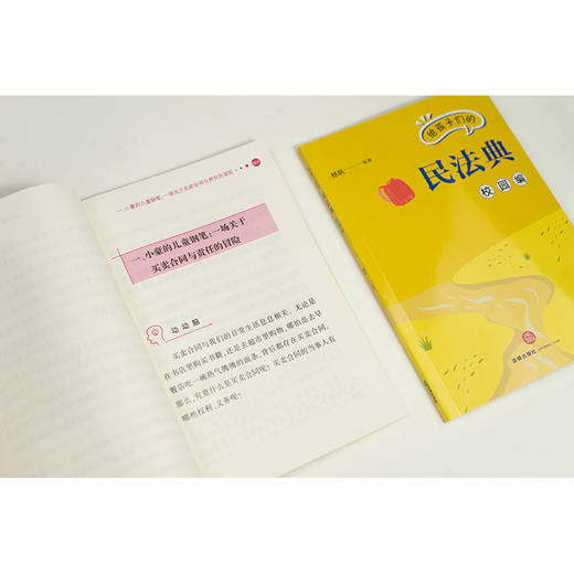 给孩子们的民法典（校园编）杨帆编著 法律出版社 商品图2