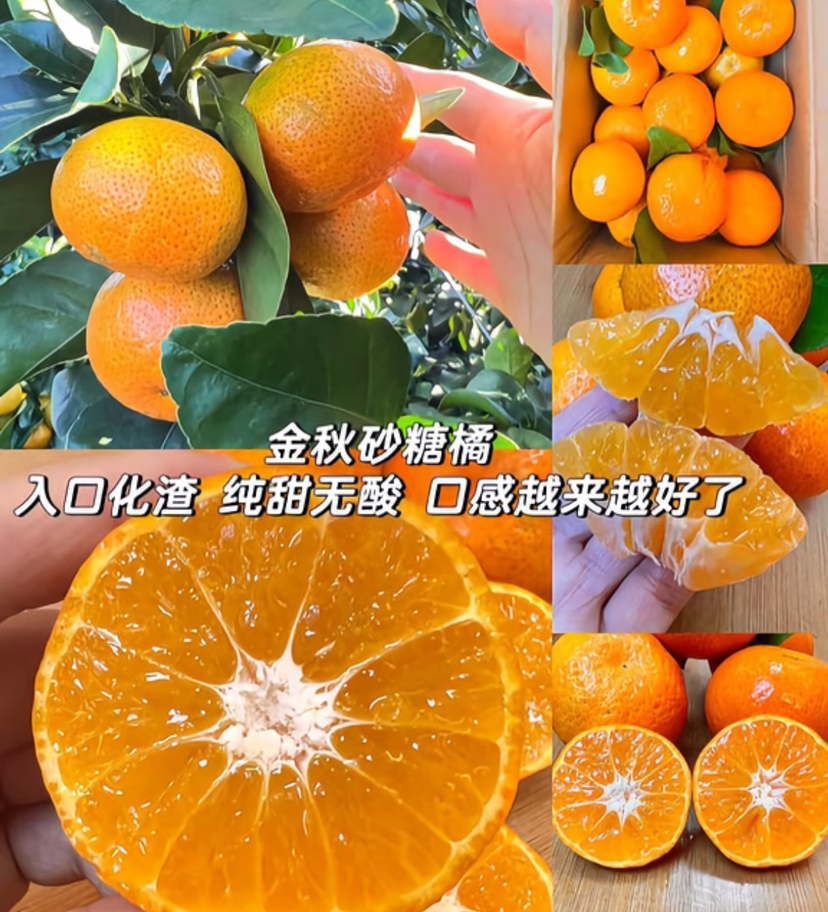 广西西林砂糖橘，高山砂糖橘，核心产区！纯甜，不齁甜，没有甜蜜素，不打蜡，果味非常浓！4斤/份